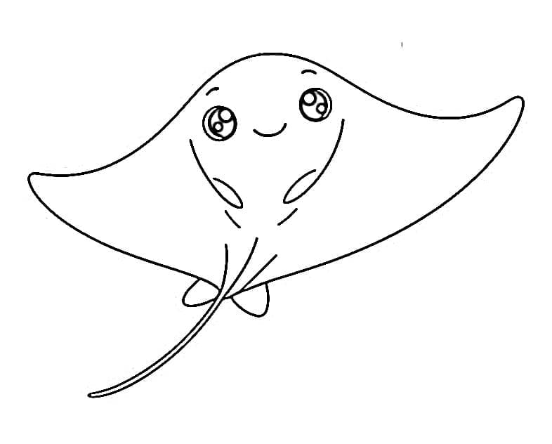 Senyuman ikan pari