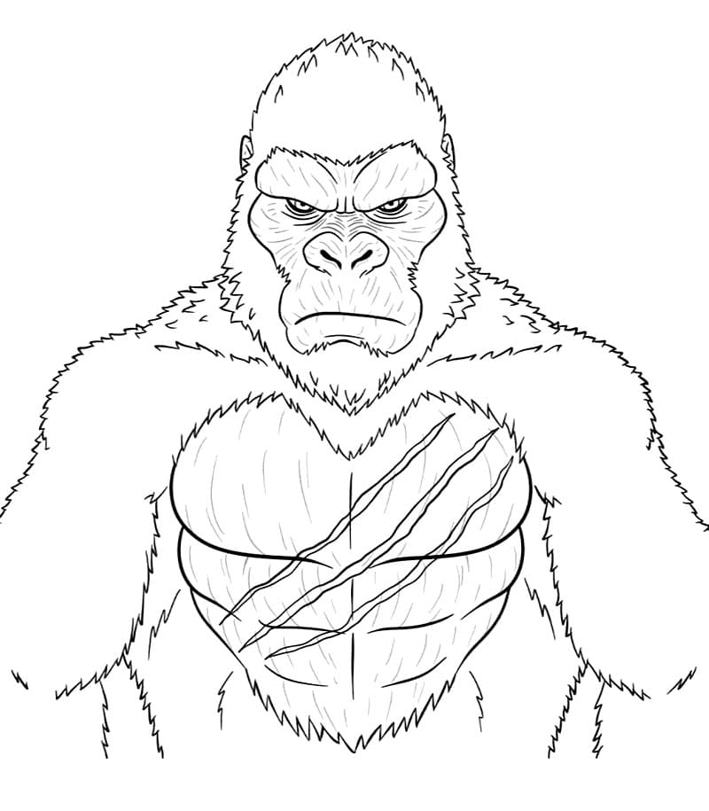 Bebaskan King Kong