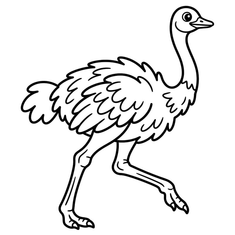 Burung unta berjalan