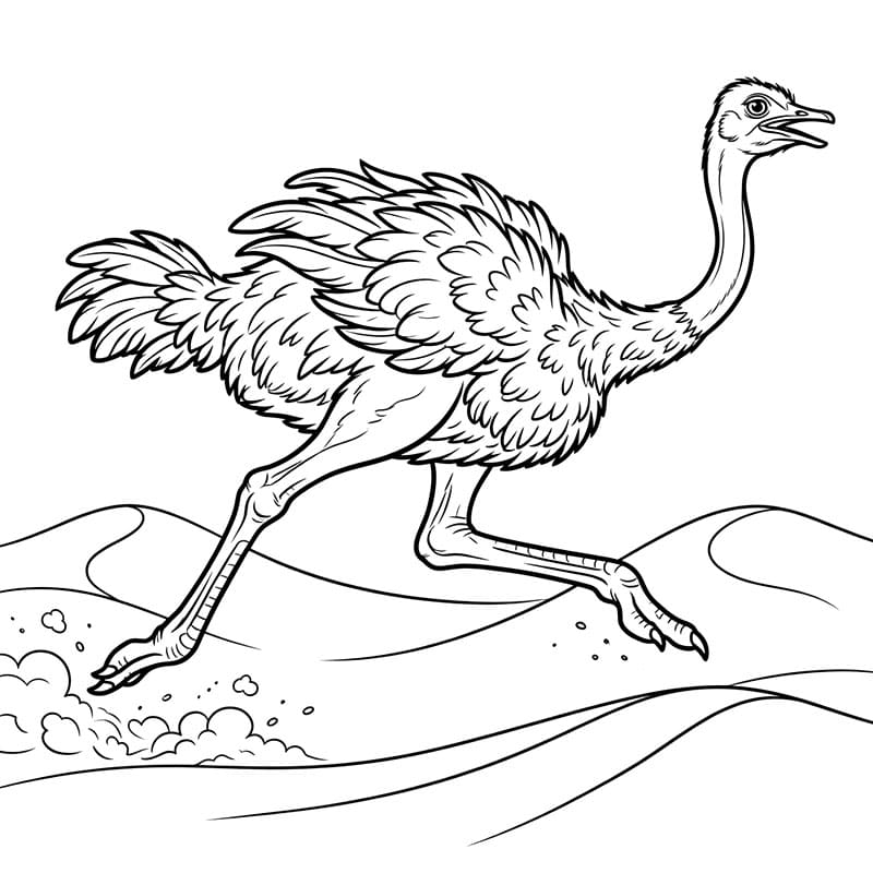 Burung Unta Berlari di Gurun