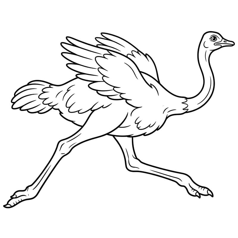 Burung Unta Berlari