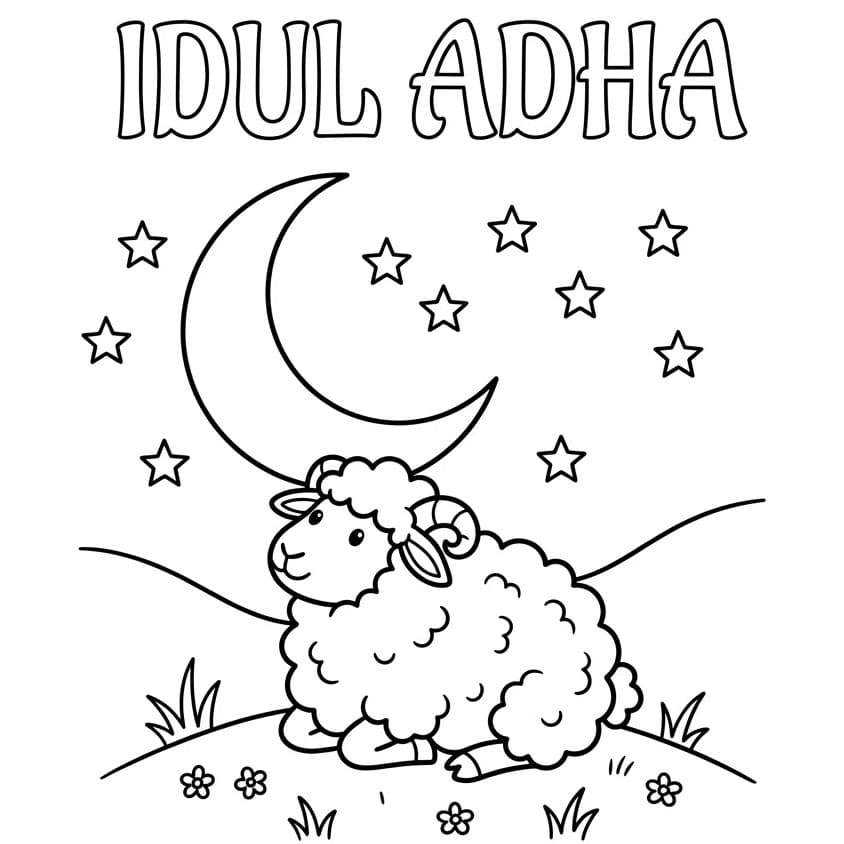 Domba di Bawah Bulan Idul Adha