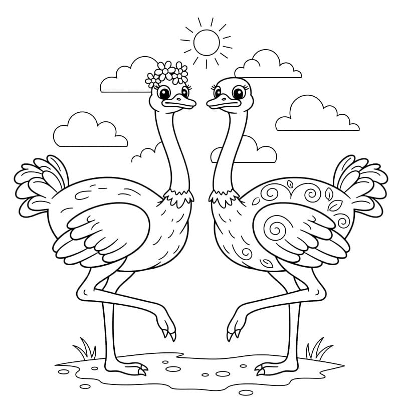 Dua burung unta
