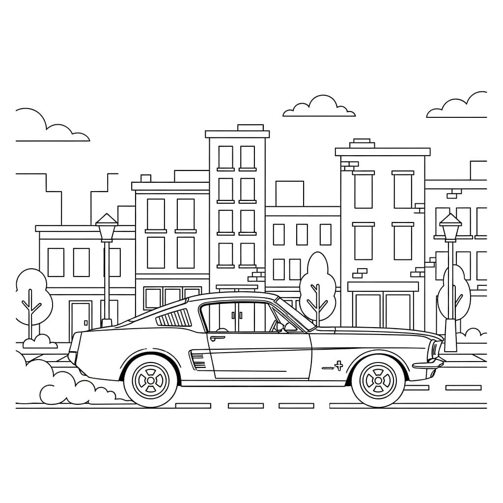 Ford City Driving