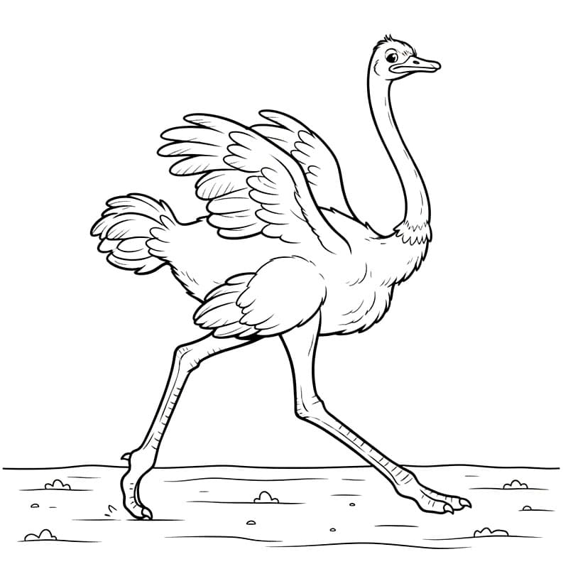 Langkah panjang burung unta