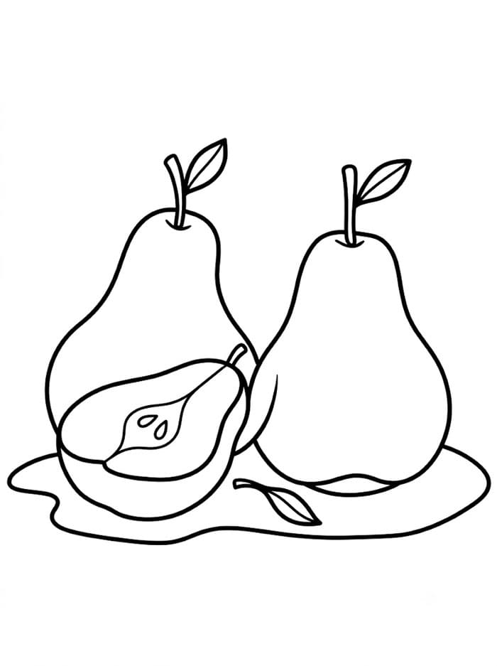 Pir