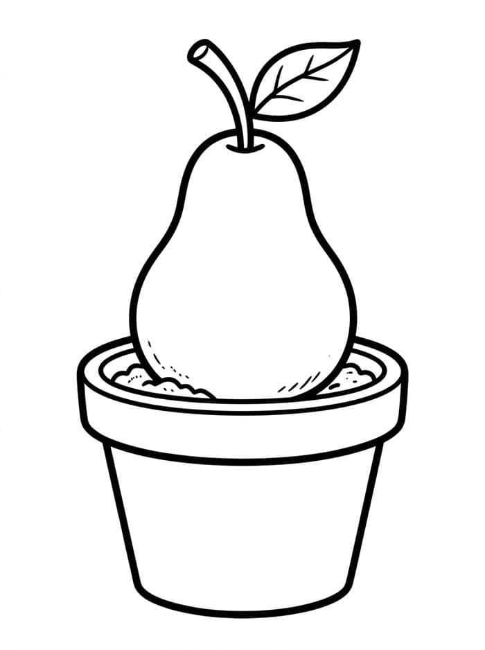 Pir di dalam pot