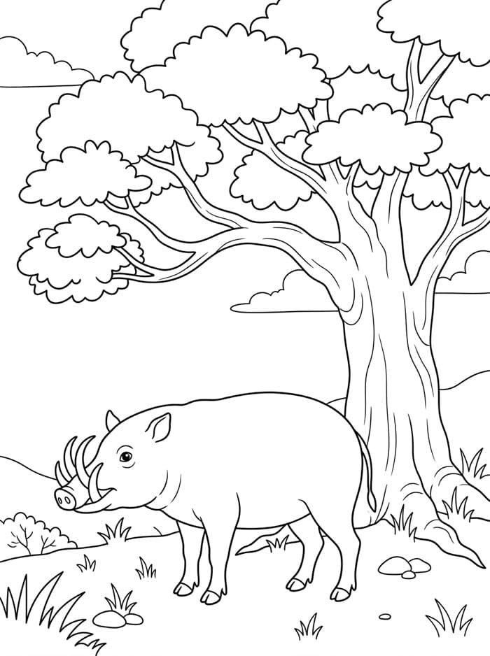 Babi Rusa Di Bawah Pohon Besar