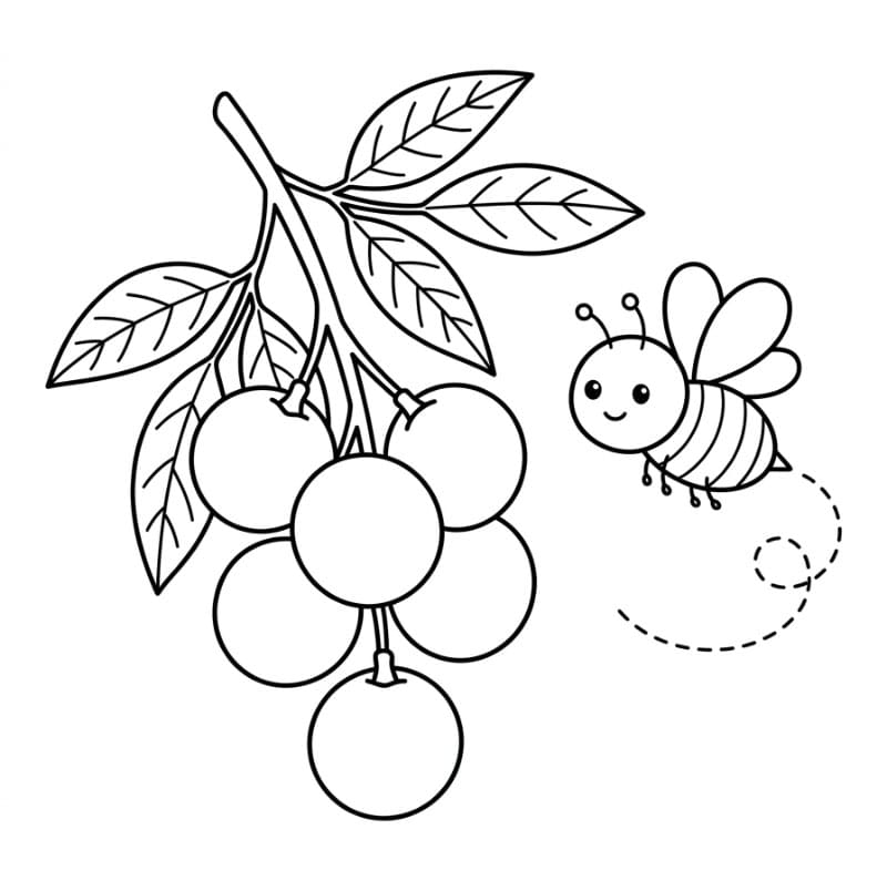 Buah Longan dan Seekor Lebah