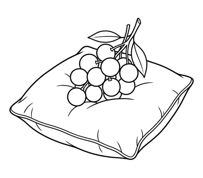 Buah Longan di Atas Bantal