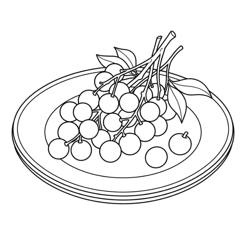 Buah Longan di Atas Piring