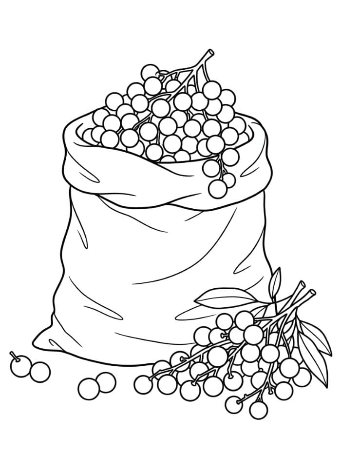 Buah Longan di Dalam Karung