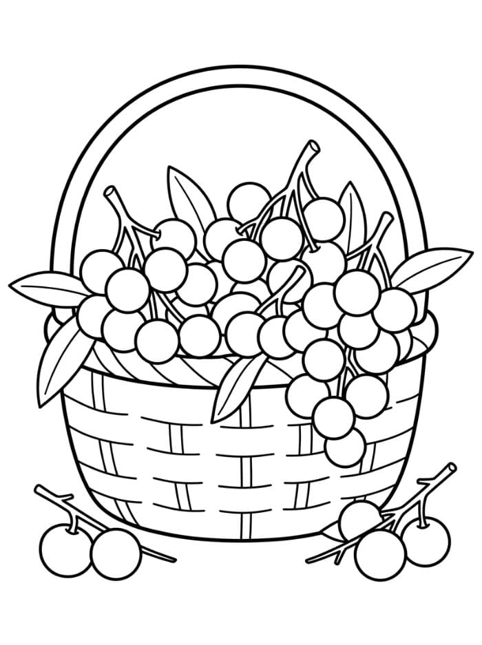 Buah Longan di Dalam Keranjang
