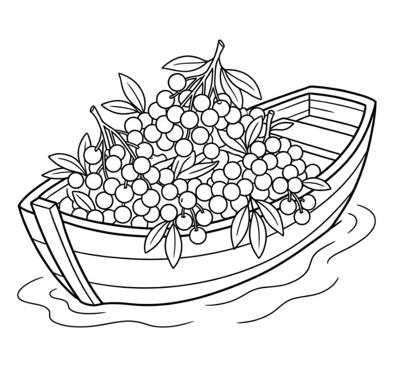 Buah Longan di Dalam Perahu