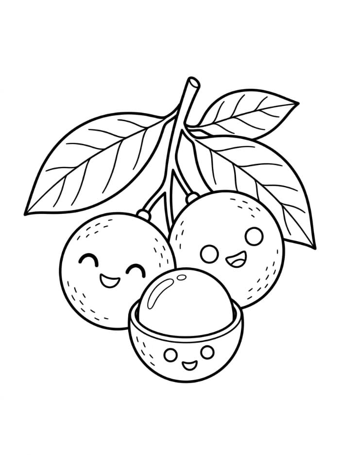 Buah Longan Lucu