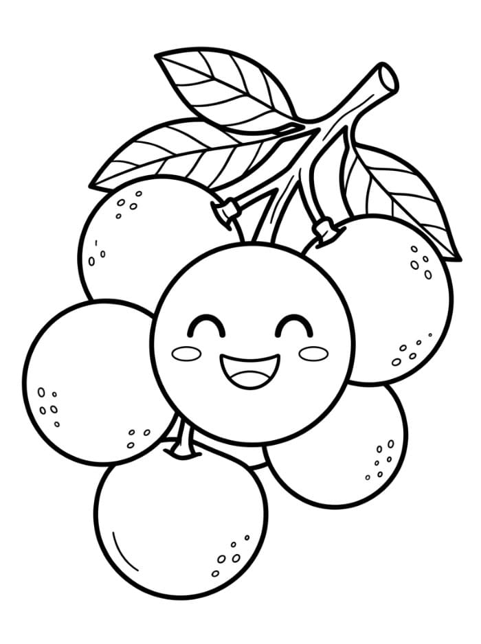 Buah Longan Tersenyum