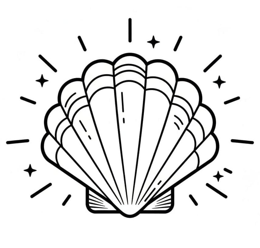 Kerang Laut Berwarna Terang