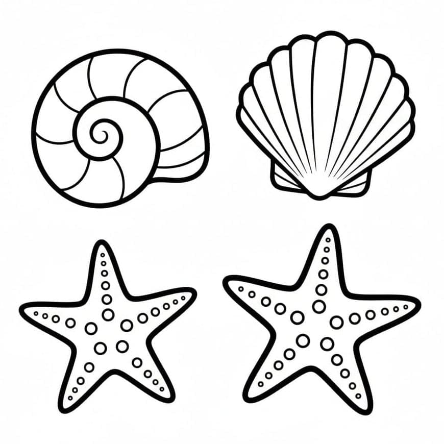 Kerang Laut dengan Bintang Laut