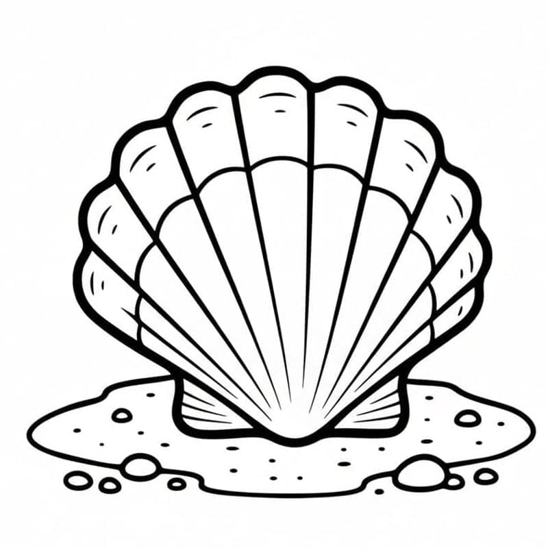 Kerang Laut di Atas Pasir