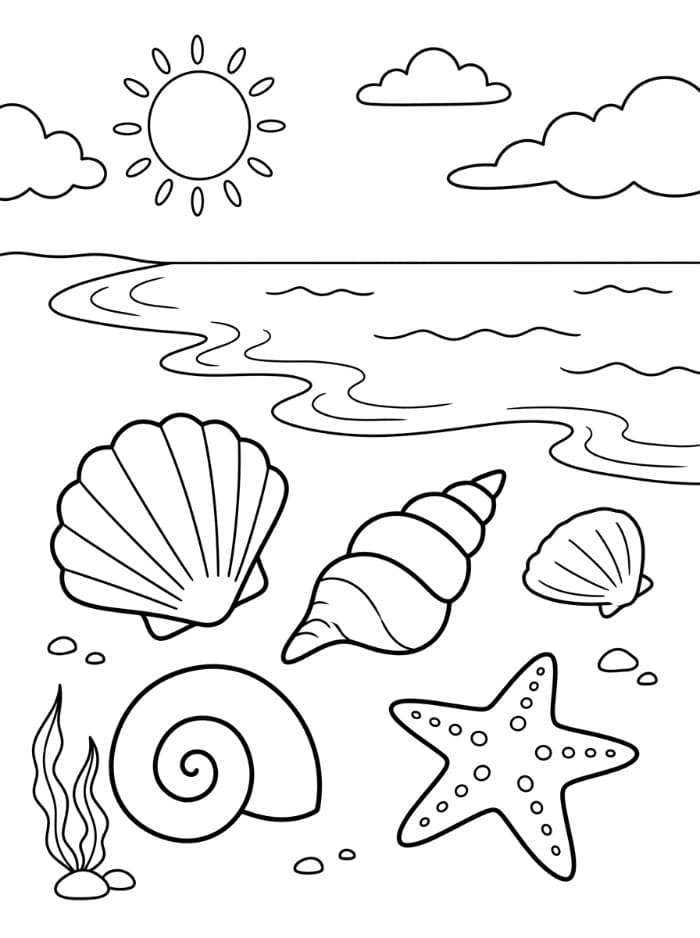 Kerang Laut di Pantai