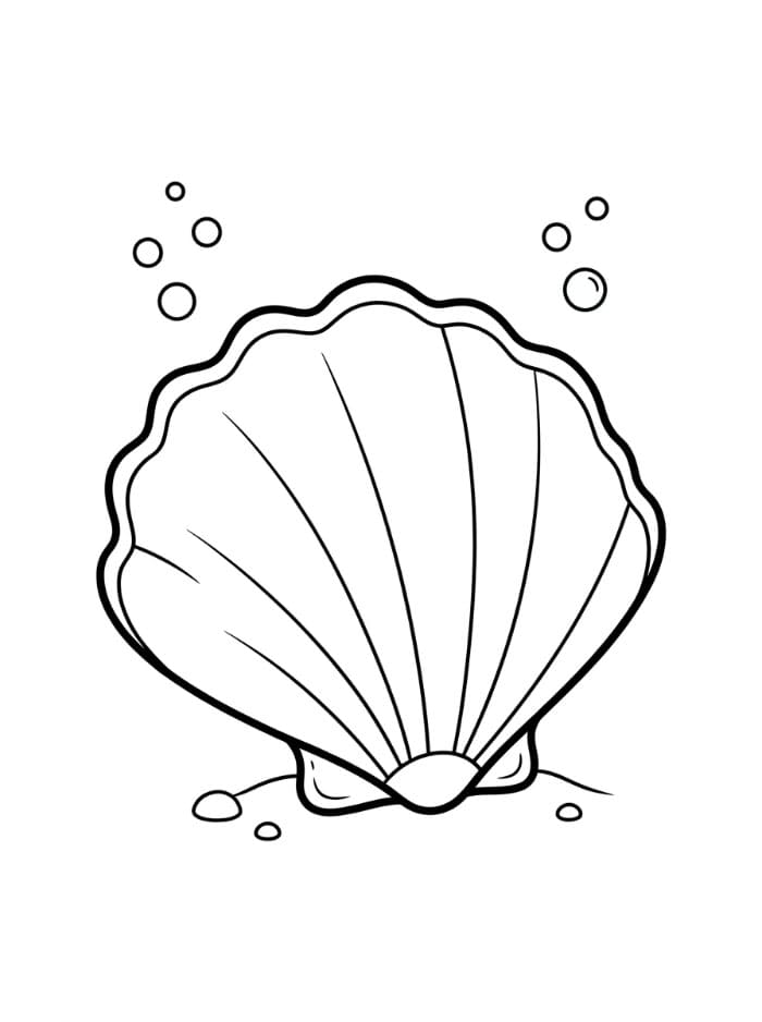 Kerang Laut Jenis Kerang