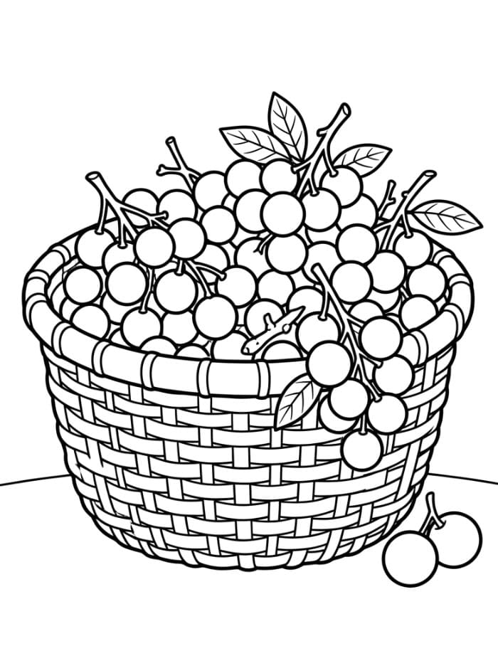 Keranjang Buah Longan