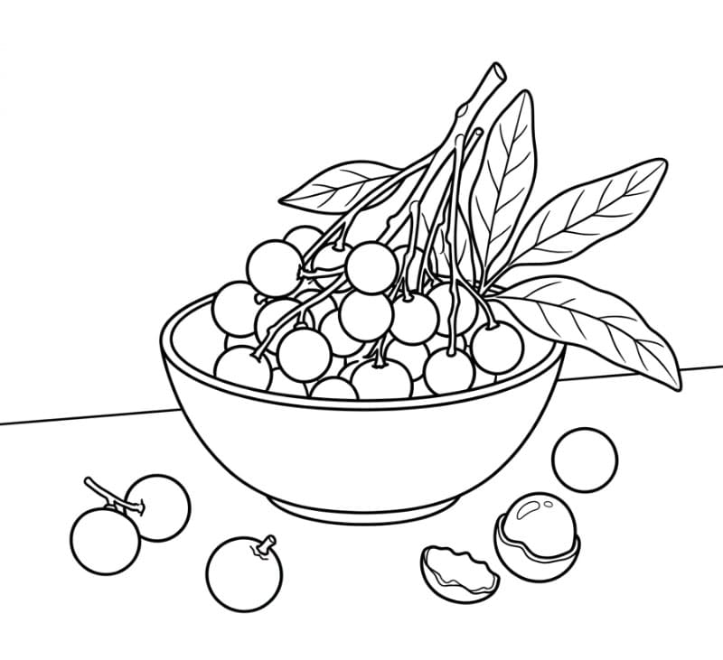 Lukisan Benda Mati Buah Longan