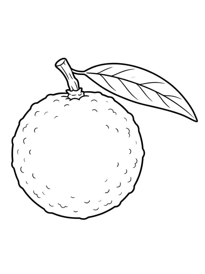Satu Buah Longan